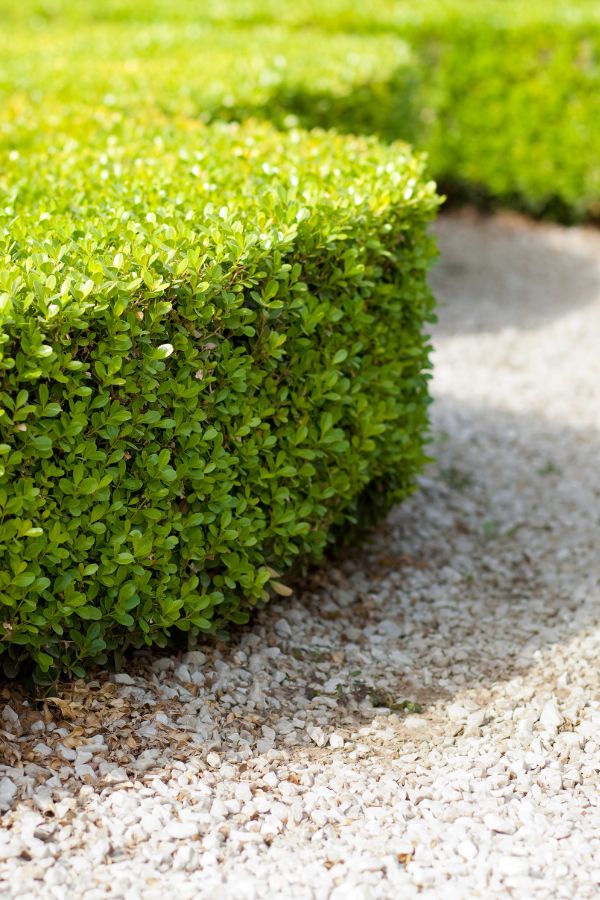 Karls Garten Eden - Alsdorf - Nordrhein-Westfalen - Gartenbau - Gartenpflege - Terrassenbau - Pflasterarbeiten