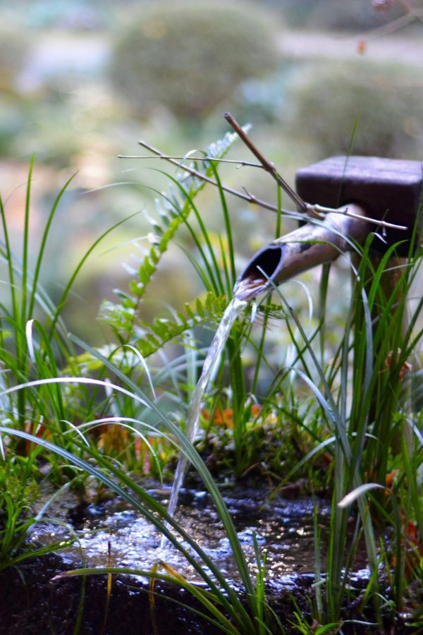 Karls Garten Eden - Alsdorf - Nordrhein-Westfalen - Gartenbau - Gartenpflege - Terrassenbau - Pflasterarbeiten
