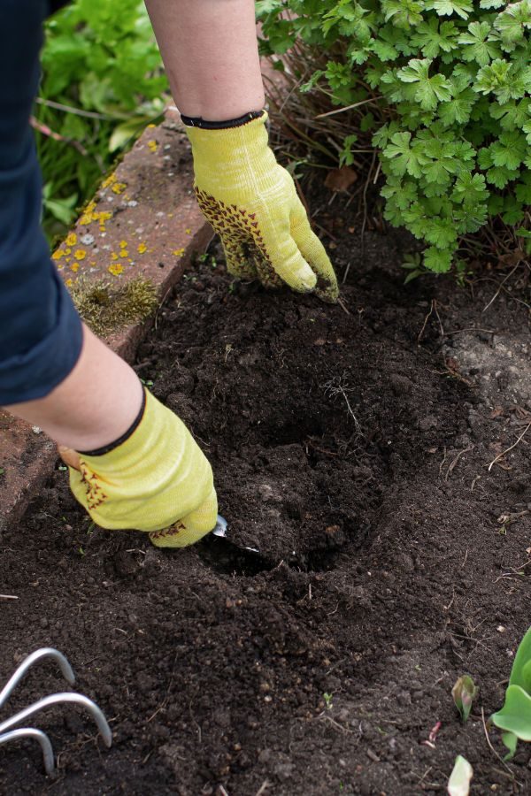 Garten und Landschaftsbau in Alsdorf - Karls Garten Eden - Alsdorf - Nordrhein-Westfalen - Gartenbau - Gartenpflege - Terrassenbau - Pflasterarbeiten