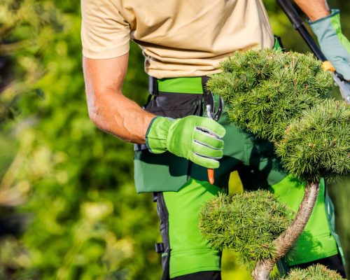 Karls Garten Eden - Alsdorf - Nordrhein-Westfalen - Gartenbau - Gartenpflege - Terrassenbau - Pflasterarbeiten