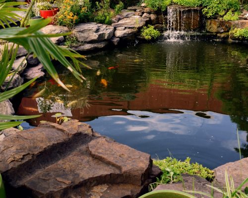 Karls Garten Eden - Alsdorf - Nordrhein-Westfalen - Gartenbau - Gartenpflege - Terrassenbau - Pflasterarbeiten