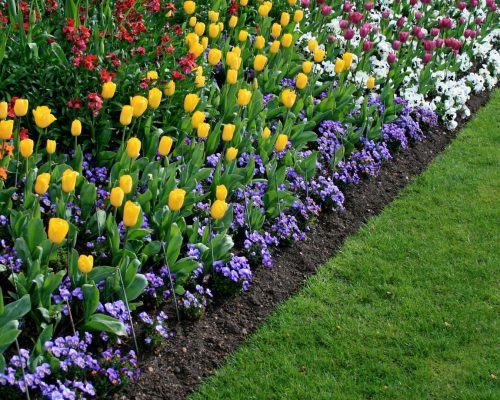 Karls Garten Eden - Alsdorf - Nordrhein-Westfalen - Gartenbau - Gartenpflege - Terrassenbau - Pflasterarbeiten