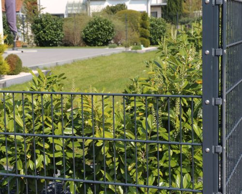 Karls Garten Eden - Alsdorf - Nordrhein-Westfalen - Gartenbau - Gartenpflege - Terrassenbau - Pflasterarbeiten